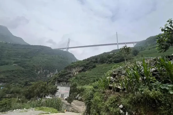 dai gia hai phong 911 1