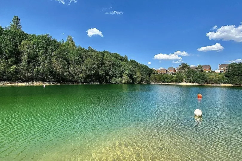 divers cove 0