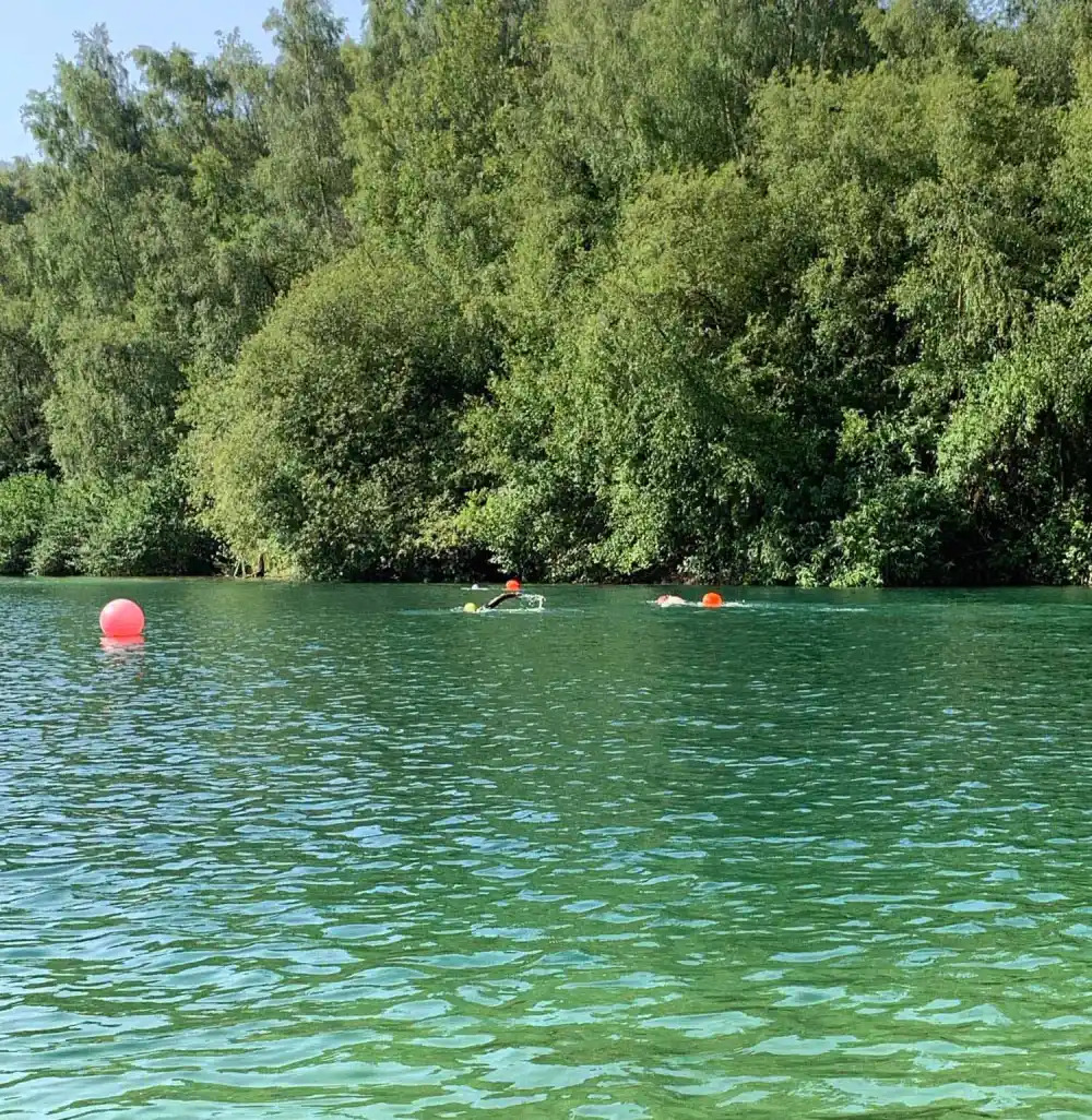 divers cove 0
