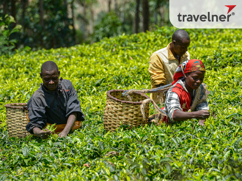 du lich rwanda 2