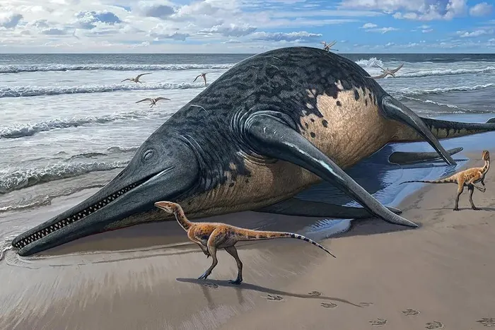 ichthyosaur 1
