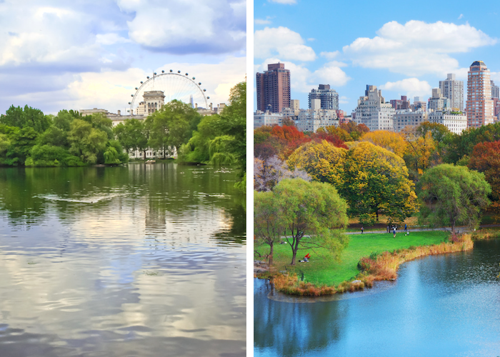 london new york 1