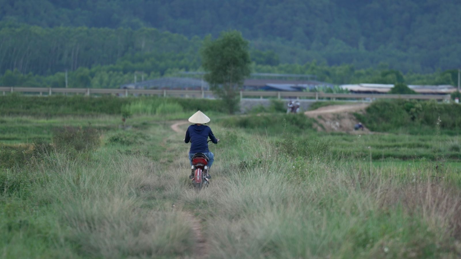 mong tuong den vq anh 1