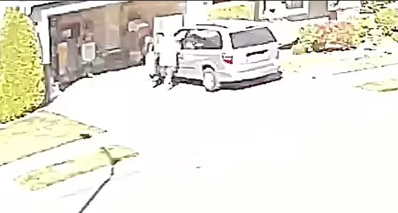 nguoi vo bi cs 1