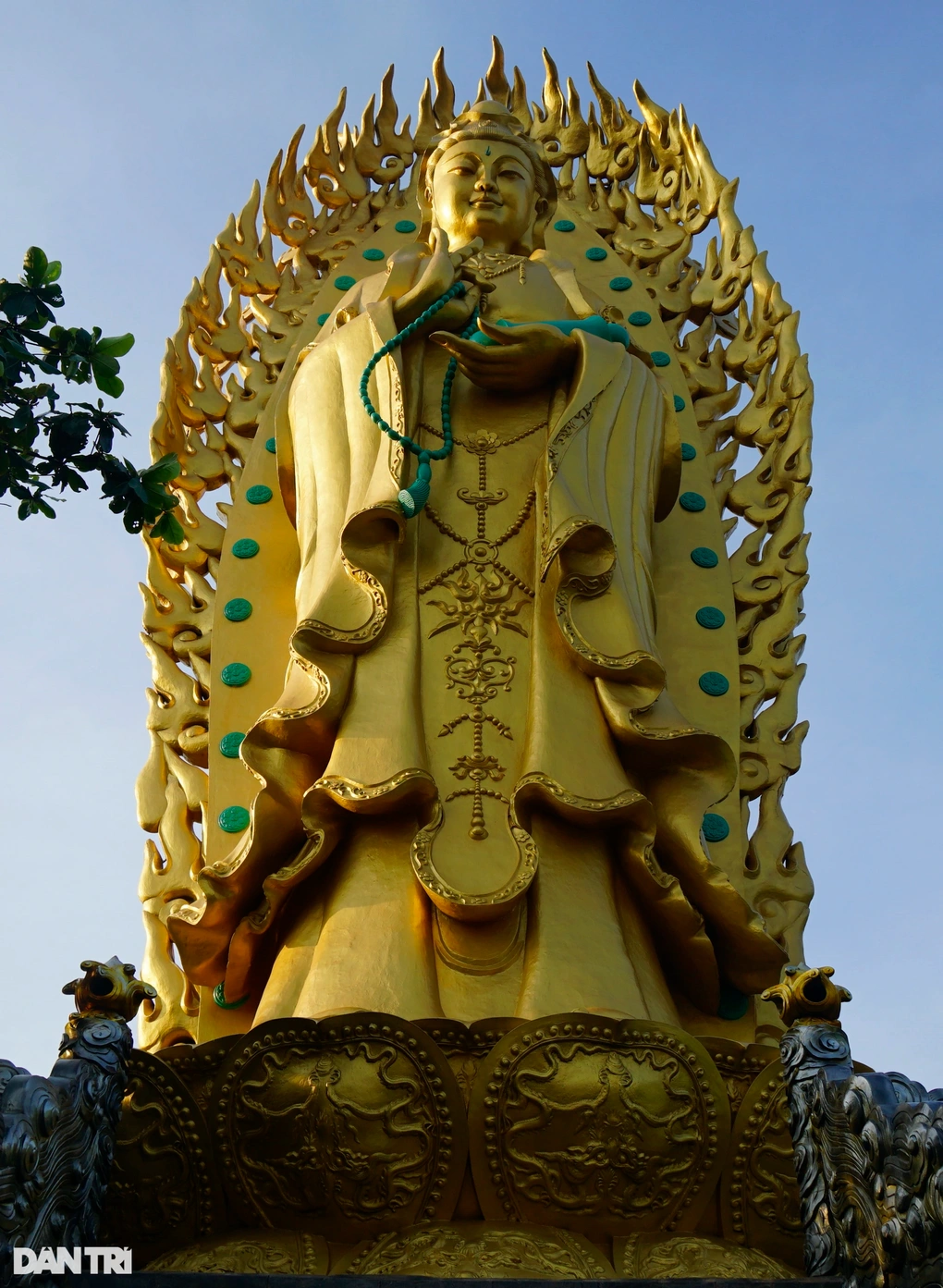 phat doi quan am 1