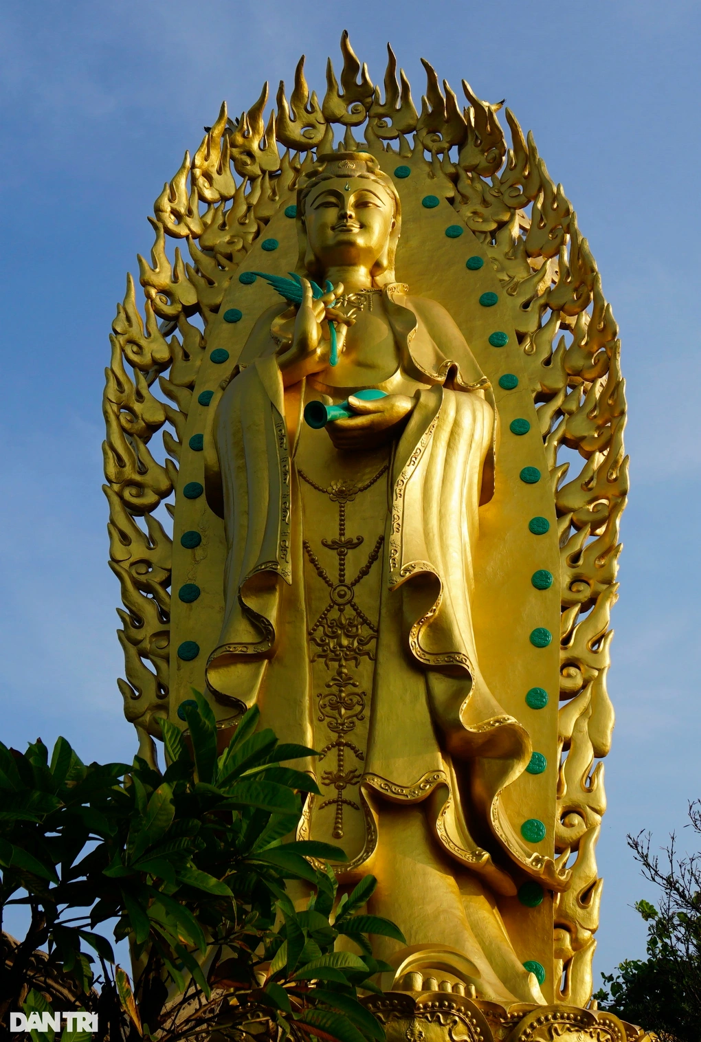 phat doi quan am 1