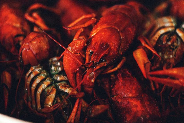 red lobster 1