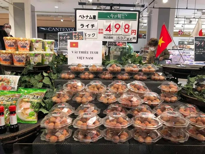 vai thieu vn 1