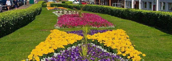 bexhill on sea 1