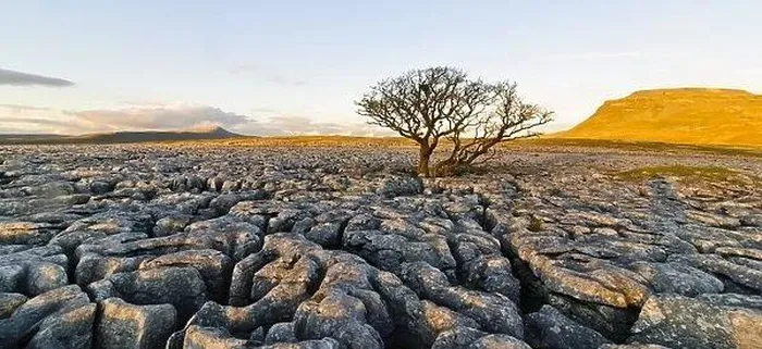 canh dong da Limestone Pavement 1