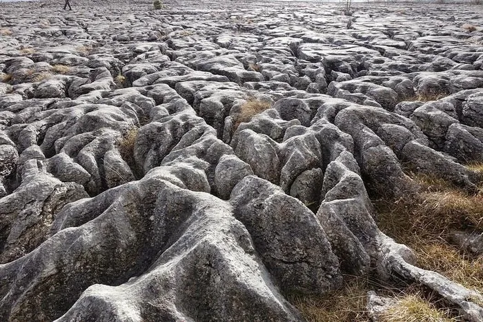 canh dong da Limestone Pavement 1