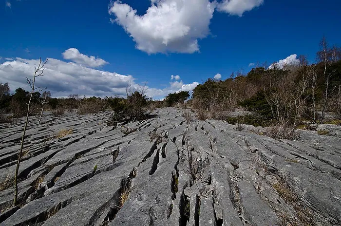 canh dong da Limestone Pavement 1