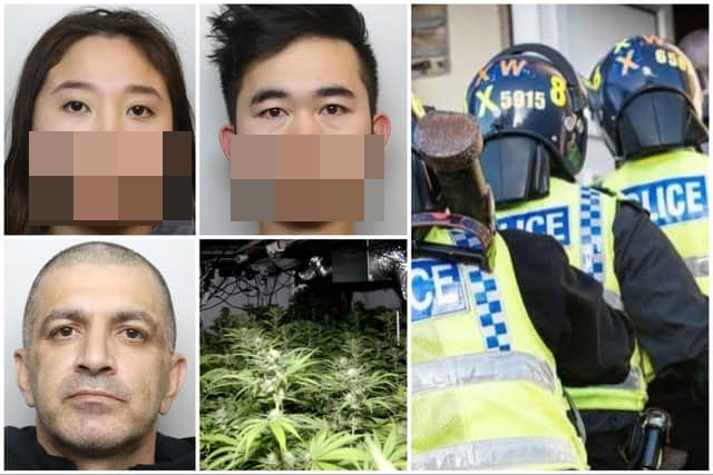 nguoi viet trong can sa va rua tien