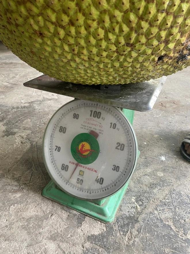 qua mit 45kg 2