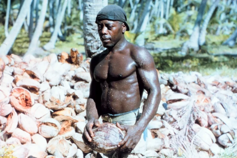 Diego Garcia 1