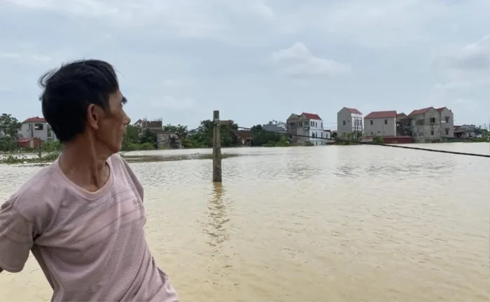 bao yagi hoi sinh 1