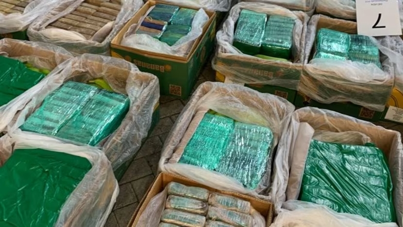 cocaine giau trong chuoi 1