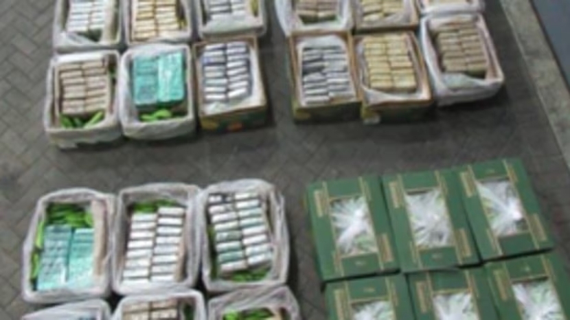 cocaine giau trong chuoi 1