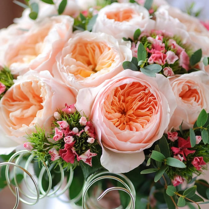 juliet rose 1