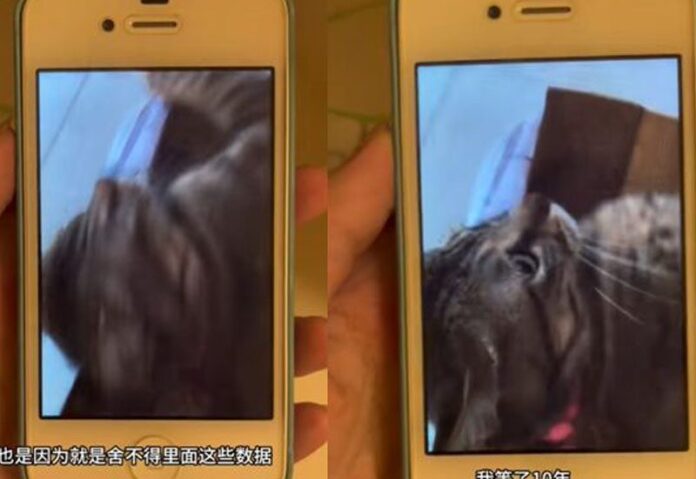 mo khoa iphone 1