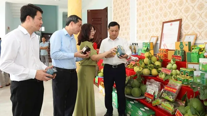 nong san tuyen quang 1