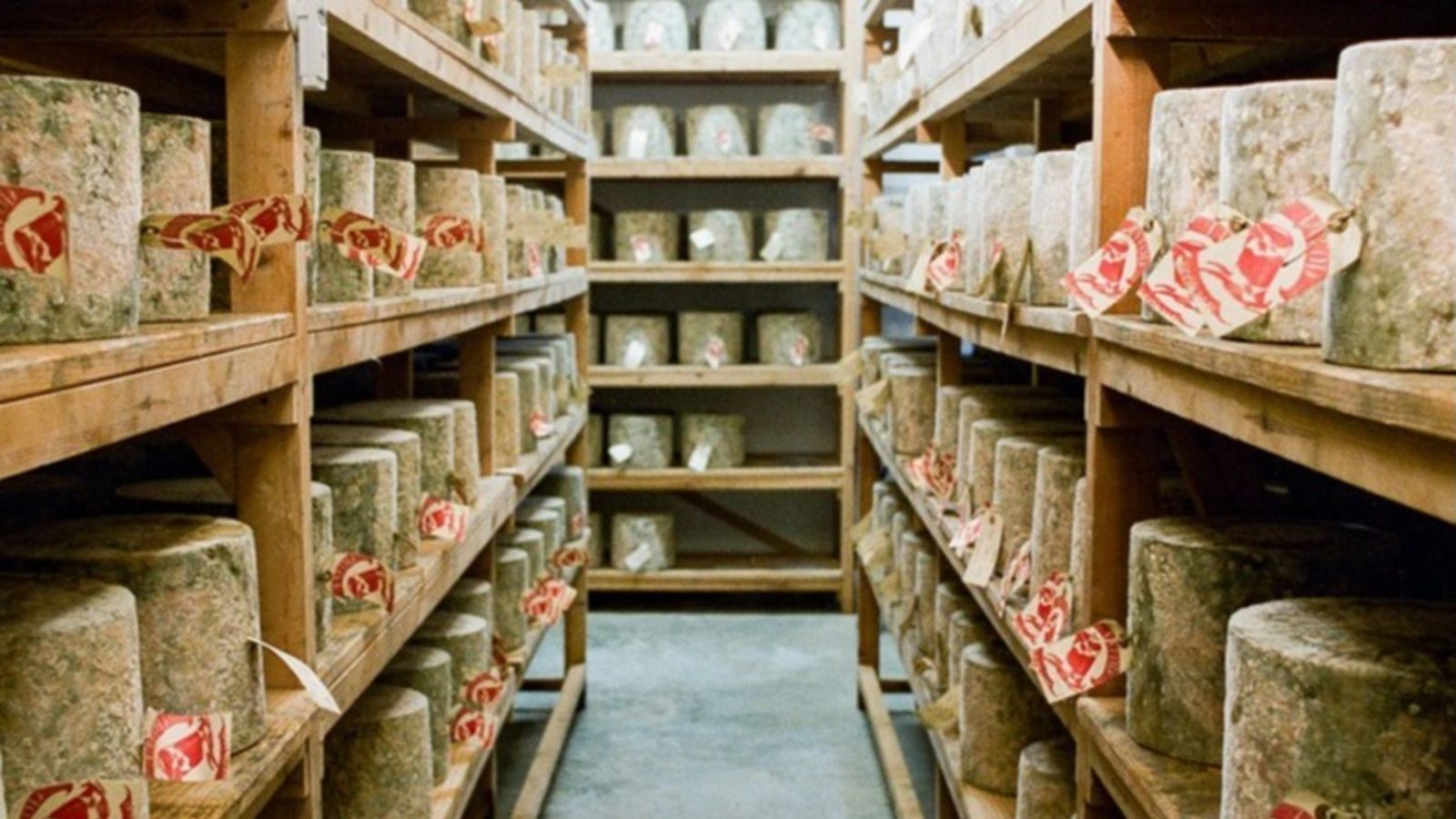pho mai bi danh cap