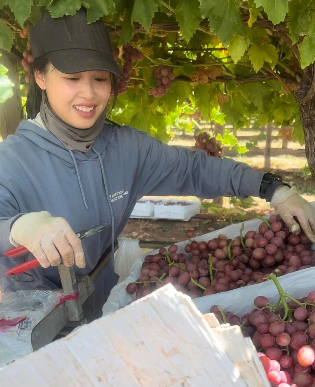 sang uc lam farm 1