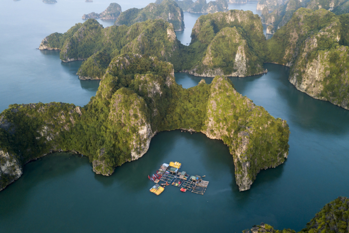 ty phu chau au