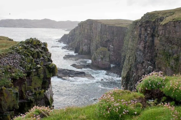 chua dao scotland 1