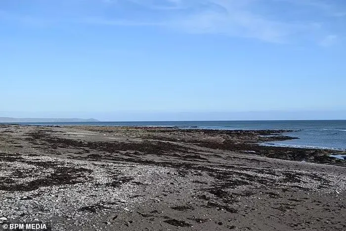 troi dat cornwall