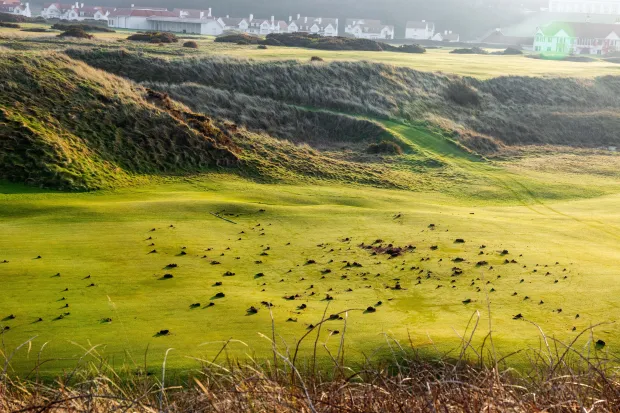 Trump Turnberry 1