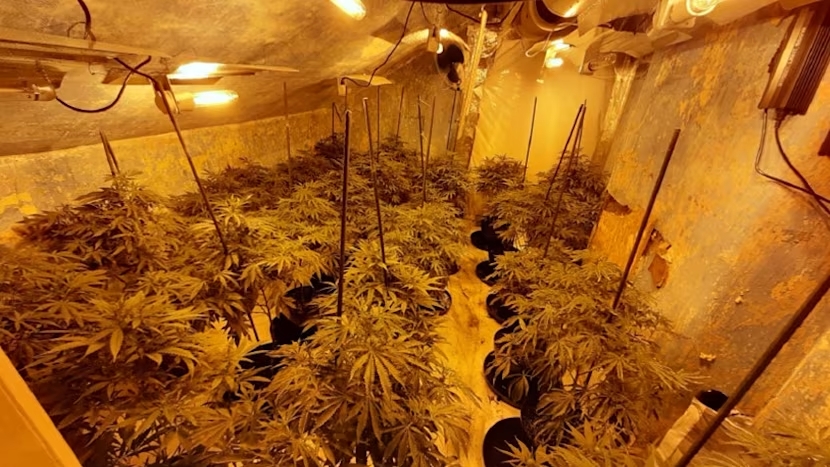 can sa leeds 1