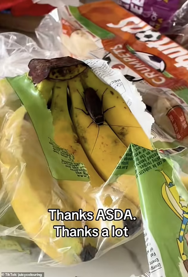 chuoi sieu thi asda co gian 1