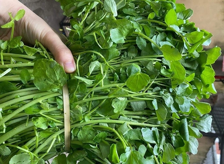 cai xoong 2