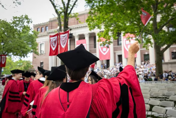 sinh vien harvard
