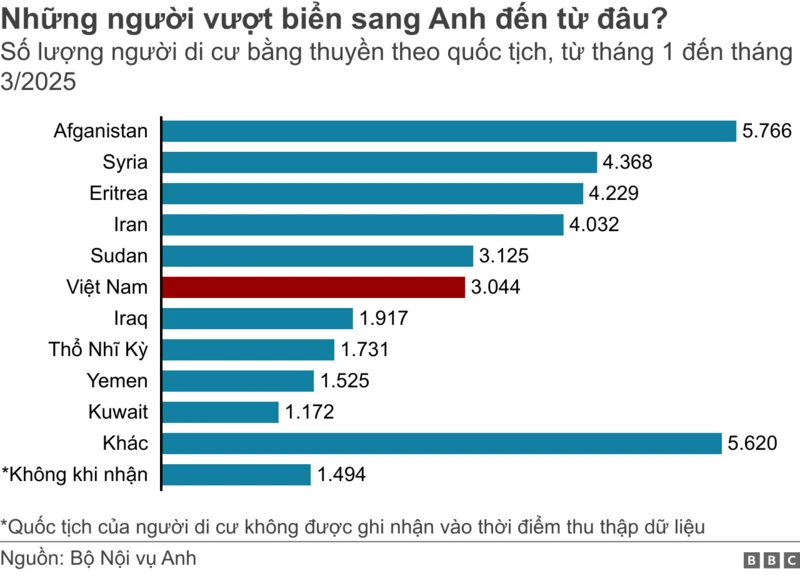 VN xuong nho 1