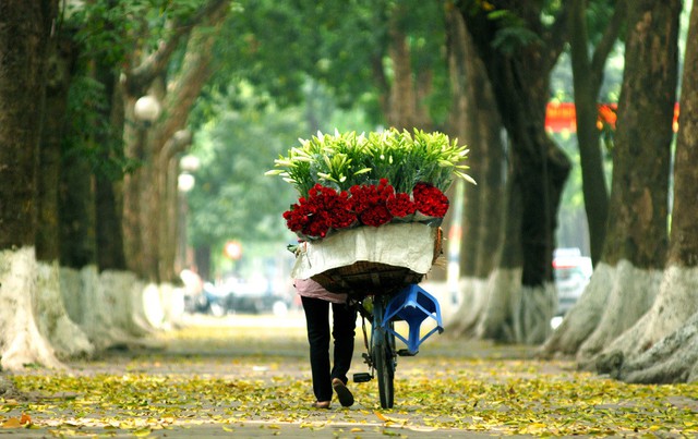 ha noi diem den 1