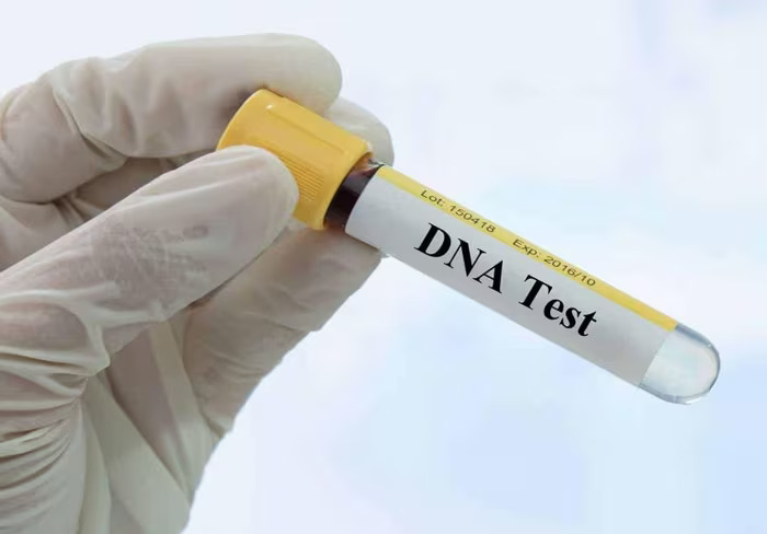 lam gia dna