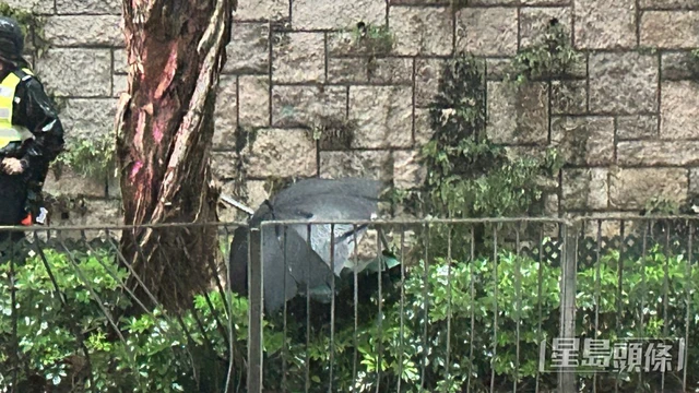 pho nha giau hong kong 1
