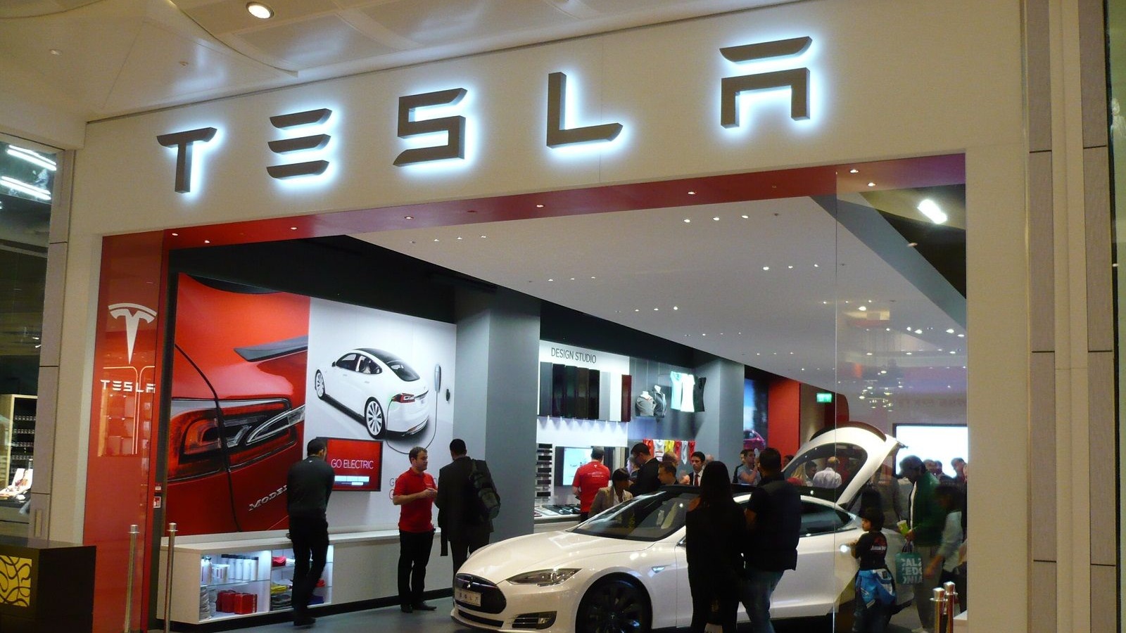 tesla tai anh