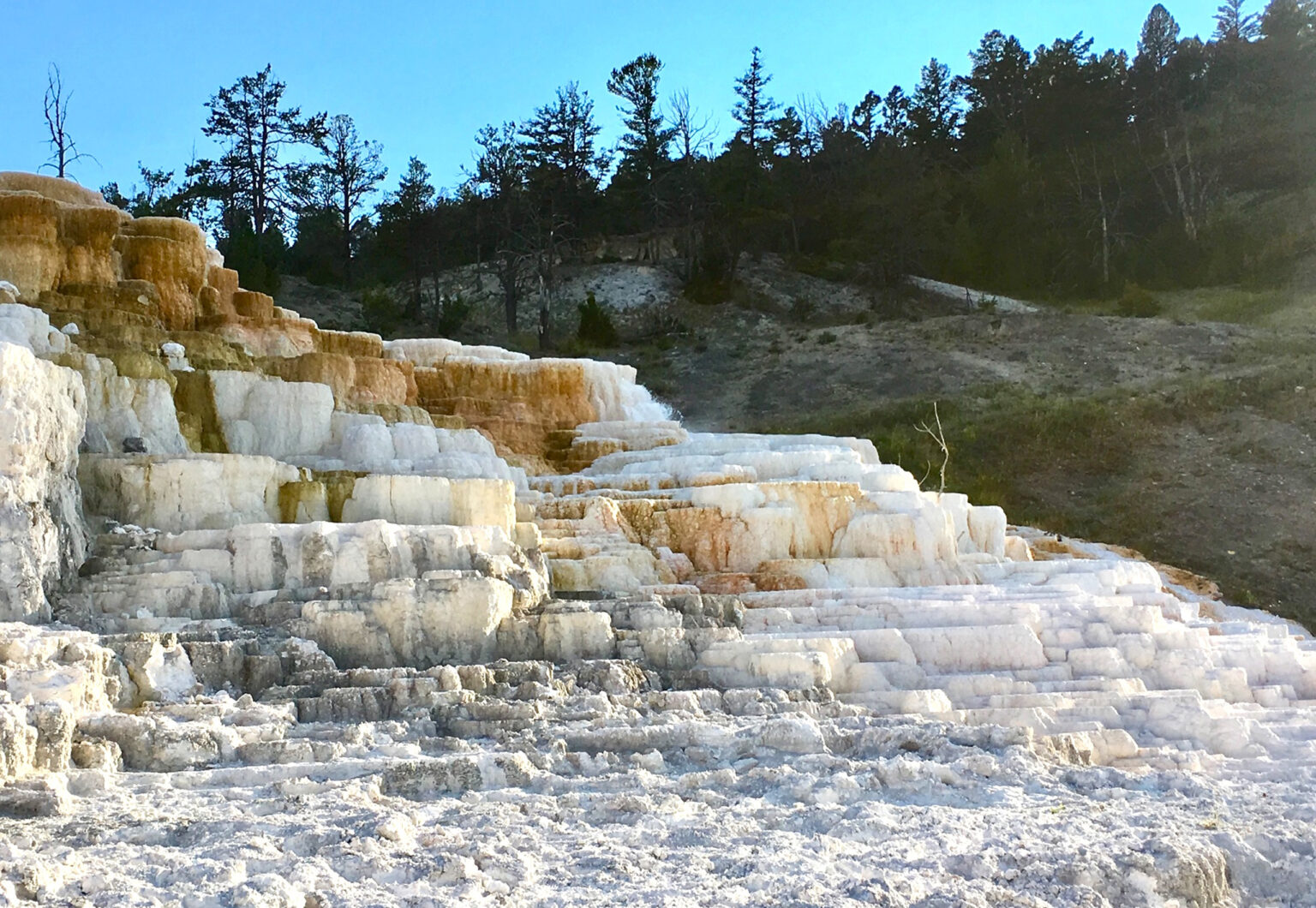yellowstone 1
