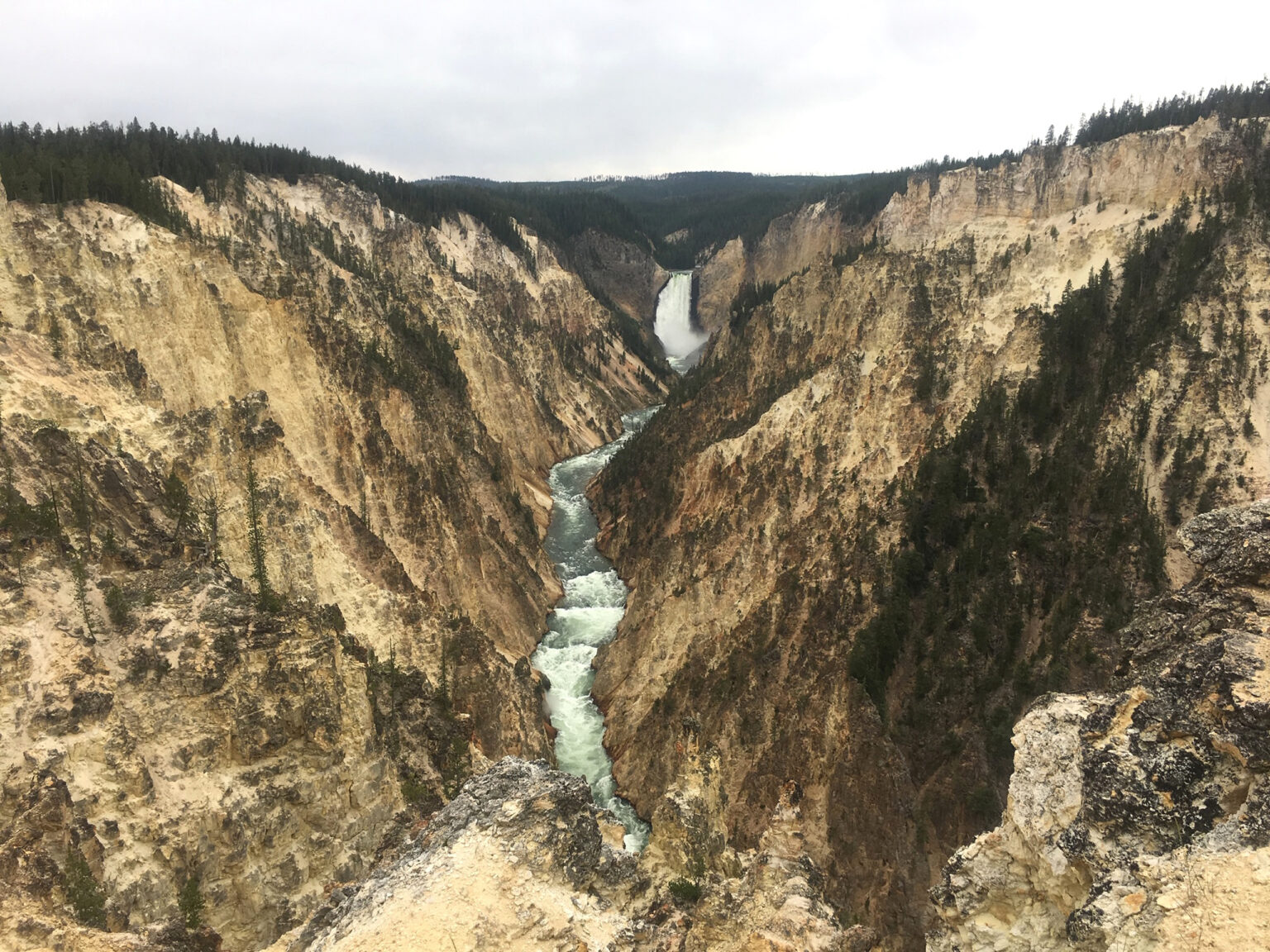 yellowstone 1