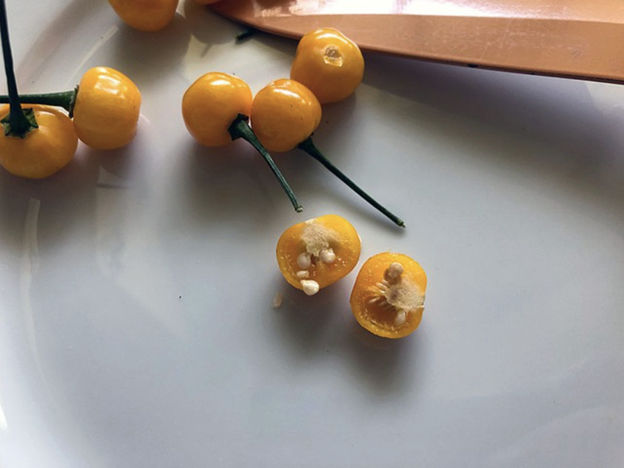 Aji Charapita 1