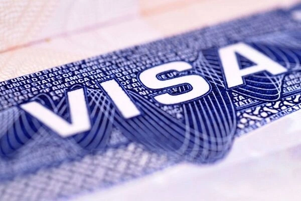 bao dau visa