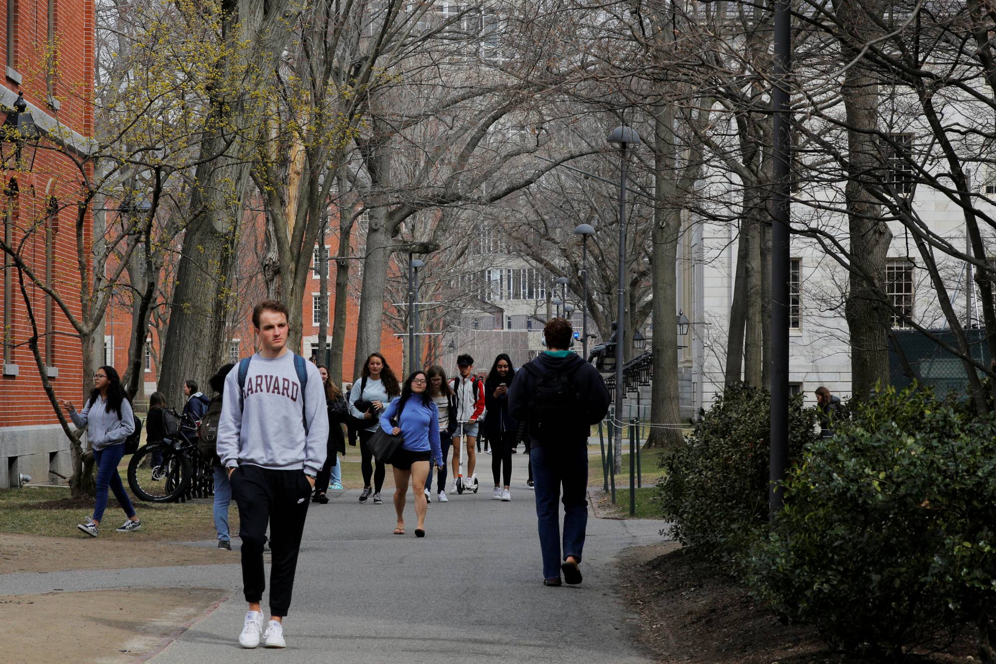 dai hoc harvard cambridge