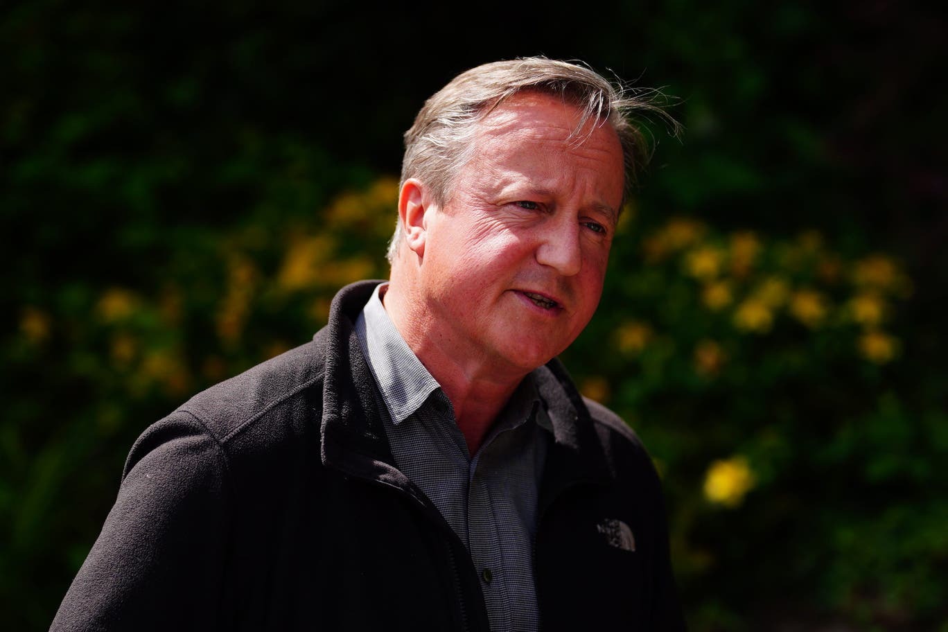 david cameron 1