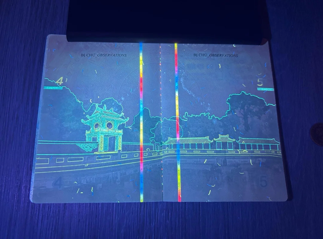 ho chieu vn uv 1