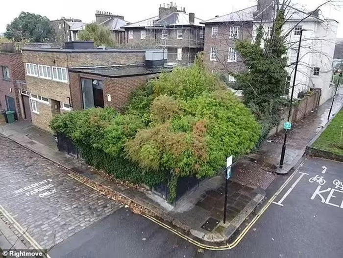 nha camden 1
