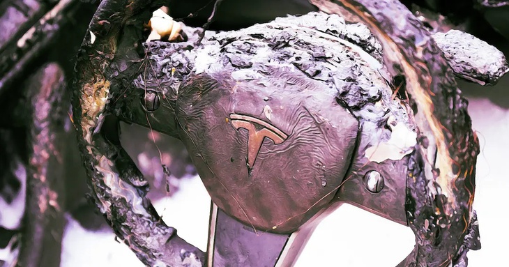 tay nam cua tesla 1