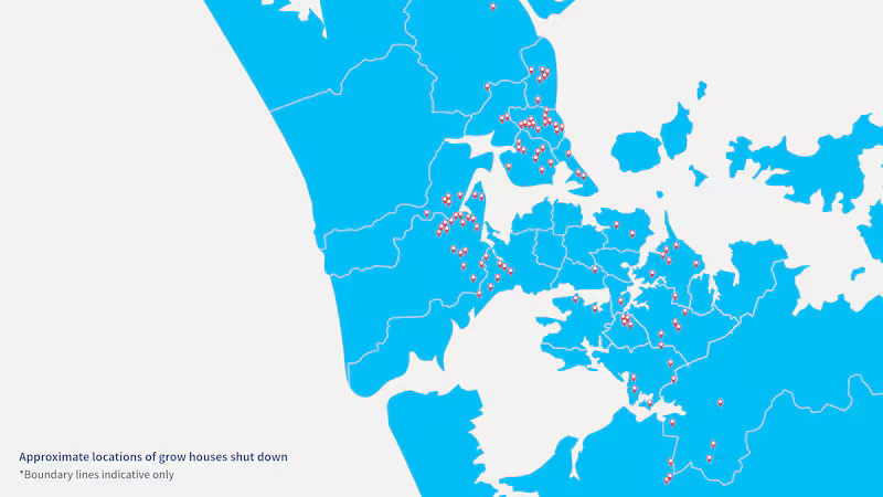 trai can sa new zealand 1